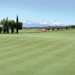 PalmGolf-Marrakech-Ourika PalmGolf-Marrakech-Ourika
